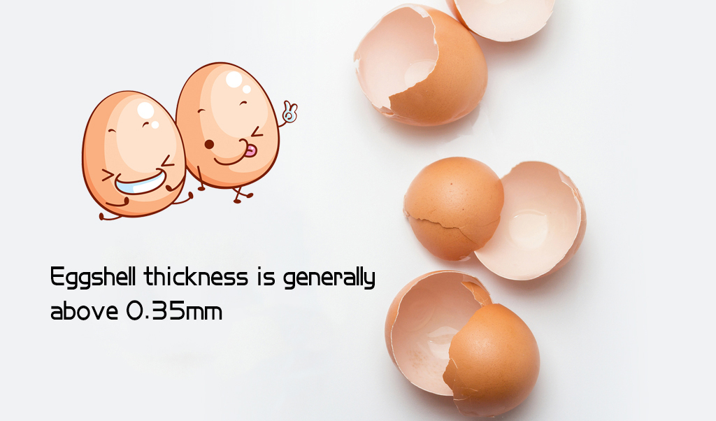 how to measure egg shell thickness