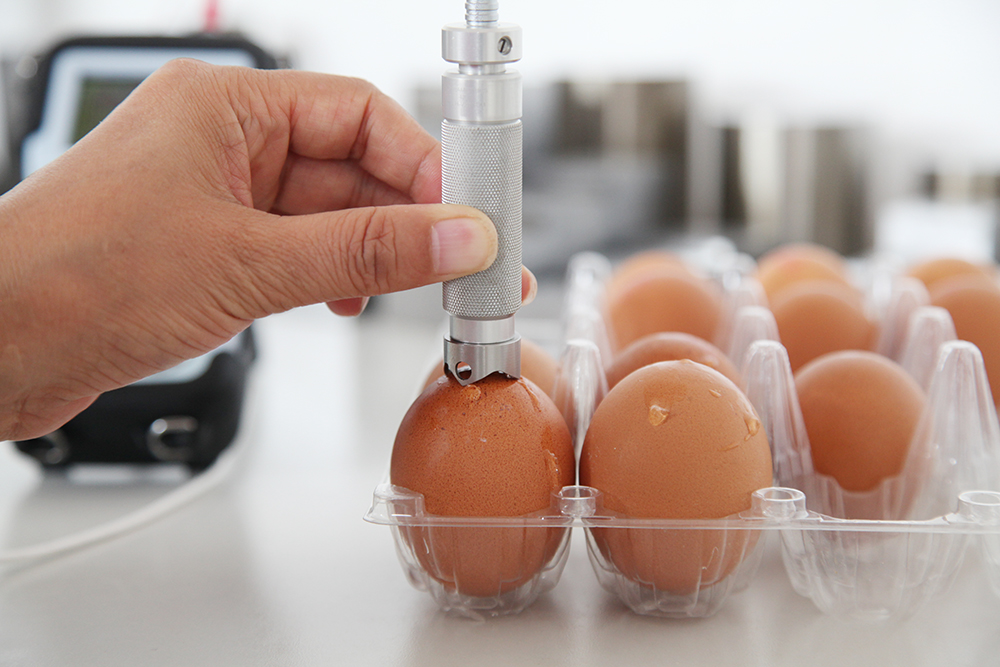 egg shell thickness measruement thickness gauuge